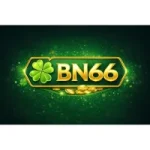 bn66 Game