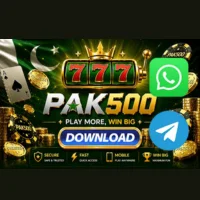 Pak500 Game